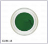 TARTISO GUM- 13 гель (ярко-зелёный) 5 гр в банке