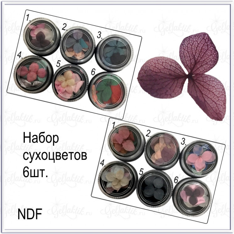 Набор сухоцветов (6 шт)